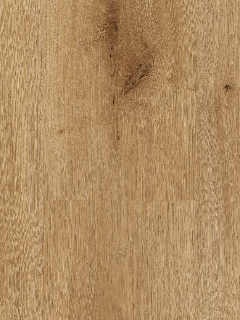 Parador Laminate Basic 400 Oak Horizont natural 1-strip