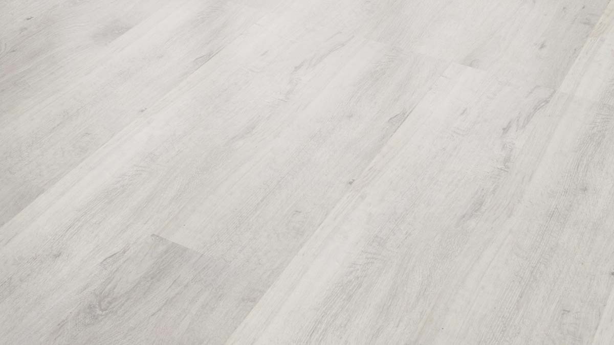 Classen Laminat Home 7 Eiche Amundsen weiß 1-Stab Landhausdiele zum klicken