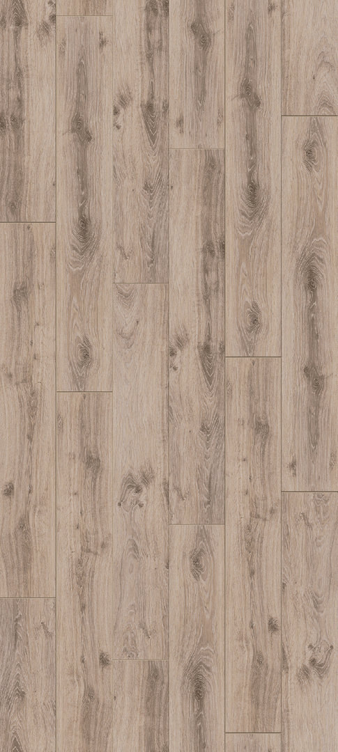 Parador Laminate Classic 1050 Oak Tradition grey-beige 1-strip 4V