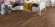 HARO Parkett 4000 Markant Amerikanischer Nussbaum Landhausdiele permaDur