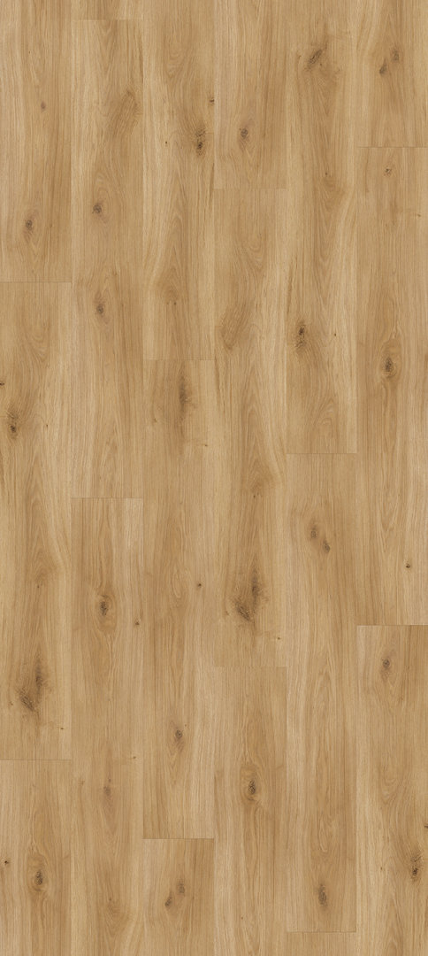 Parador Laminate Basic 400 Oak Horizont natural 1-strip