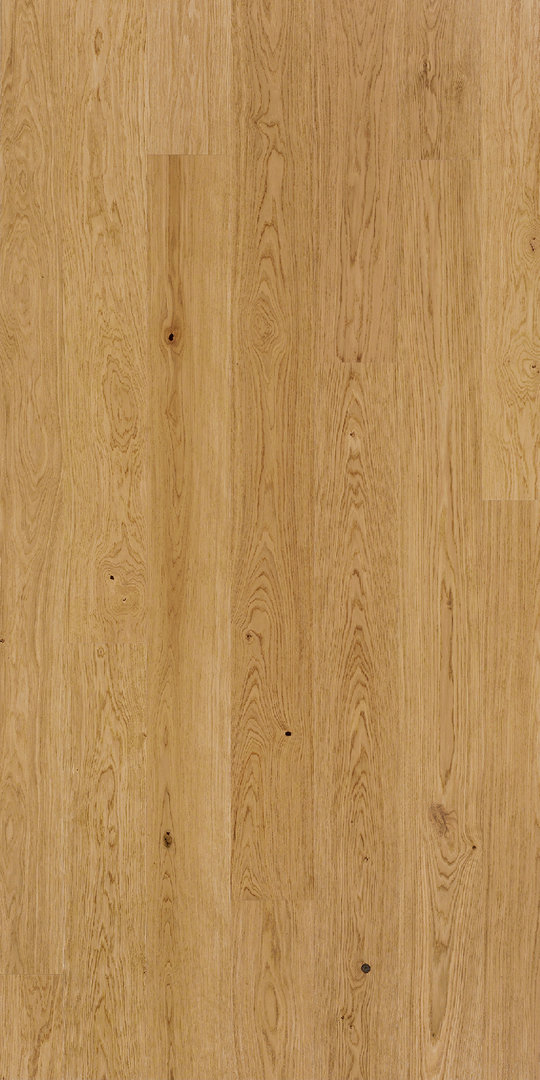 Parador Parquet Basic 11-5 Classic Oak Natural oil 1-strip M4V
