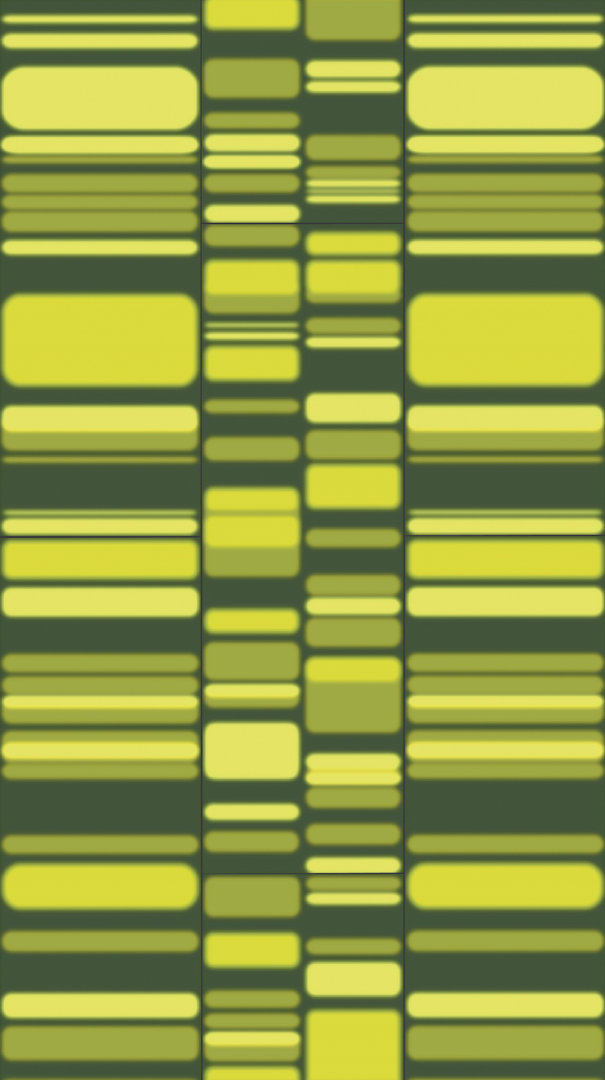 Parador Laminate Edition Jean Marie Massaud AGTC Large format 4V