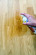 WOCA Quitamanchas para superficies de madera sin tratar, enjabonadas, aceitadas o enceradas WOCA Quitamanchas para superficies de madera sin tratar, enjabonadas, aceitadas o enceradas