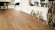 Tarkett Parquet Pure Oak Rustic brushed Proteco Natura 1-strip plank XT XL M2V 13 mm Tarkett Parquet Pure Oak Rustic brushed Proteco Natura 1-strip plank XT XL M2V 13 mm
