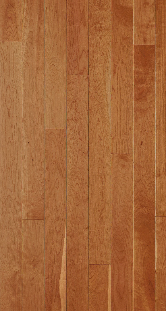 Parador Parquet Trendtime 4 Natur American cherry 1-strip 4V