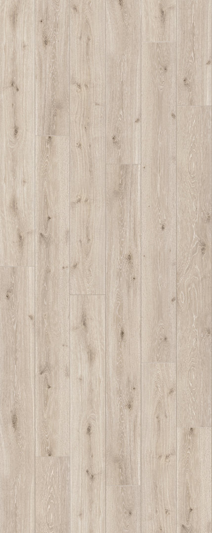 Parador Laminat Trendtime 6 Eiche Castell Weiß Lasiert Schlossdiele 4V