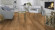 Tarkett Parquet Pure Rustic Roble Lama Ancha / Lama XT M2V Proteco Natura, cepillado 13 mm Tarkett Parquet Pure Rustic Roble Lama Ancha / Lama XT M2V Proteco Natura, cepillado 13 mm