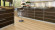 Wineo Vinyl flooring 800 Wood Wheat Golden Oak 1-strip Bevelled edge for gluing