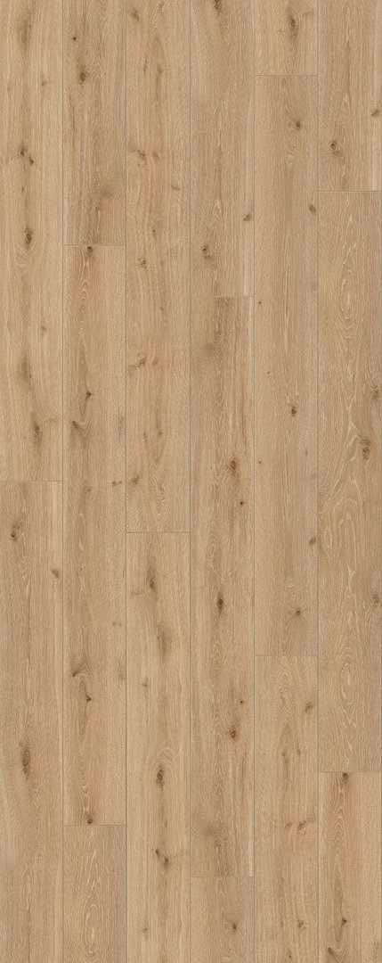 Parador Laminat Trendtime 6 Eiche Castell Gekälkt Schlossdiele 4V