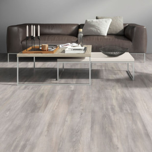 Classen Laminate Flooring 832-0 Pine grey 1-lama wideplank