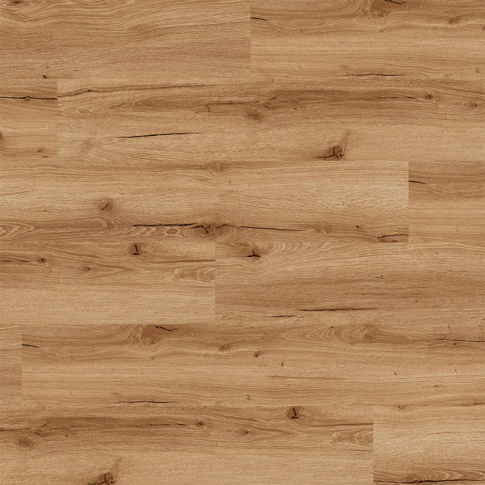 Rigid Klick Vinyl Core WPC - Atlas Eiche Coast | Trittschall integr. (VCAT001) main product photo