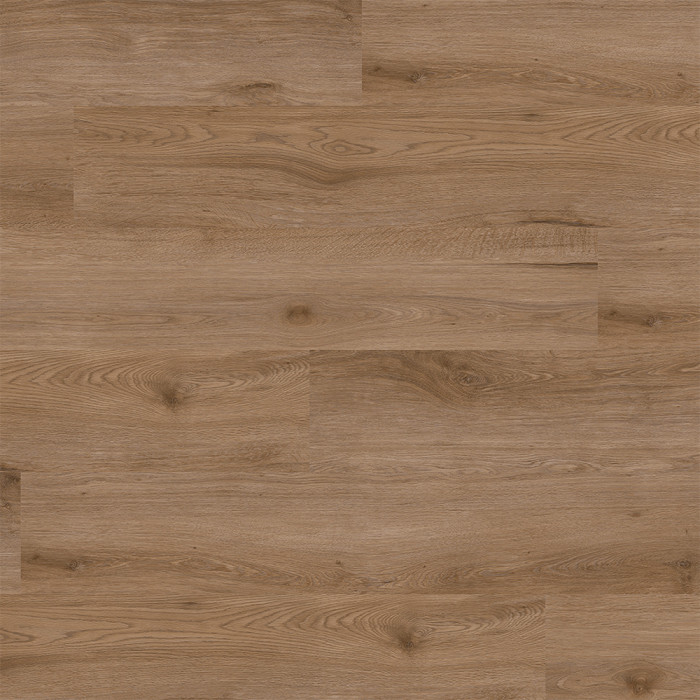 Rigid Klick Vinyl Core WPC - Atlas Eiche Cloud | Trittschall integr. (VCAT002) main product photo