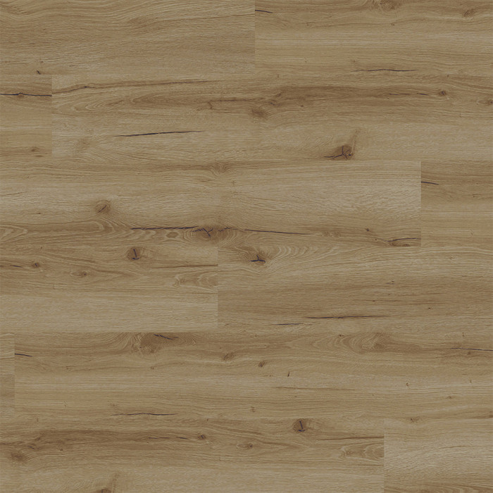 Rigid Klick Vinyl Core WPC - Atlas Eiche Slatewood | Trittschall integr. (VCAT006) main product photo