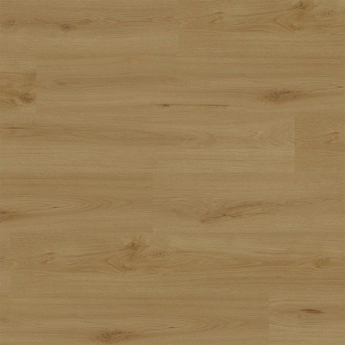 Rigid Klick Vinyl Core WPC - Atlas Eiche Mineral | Trittschall integr. (VCAT007) main product photo