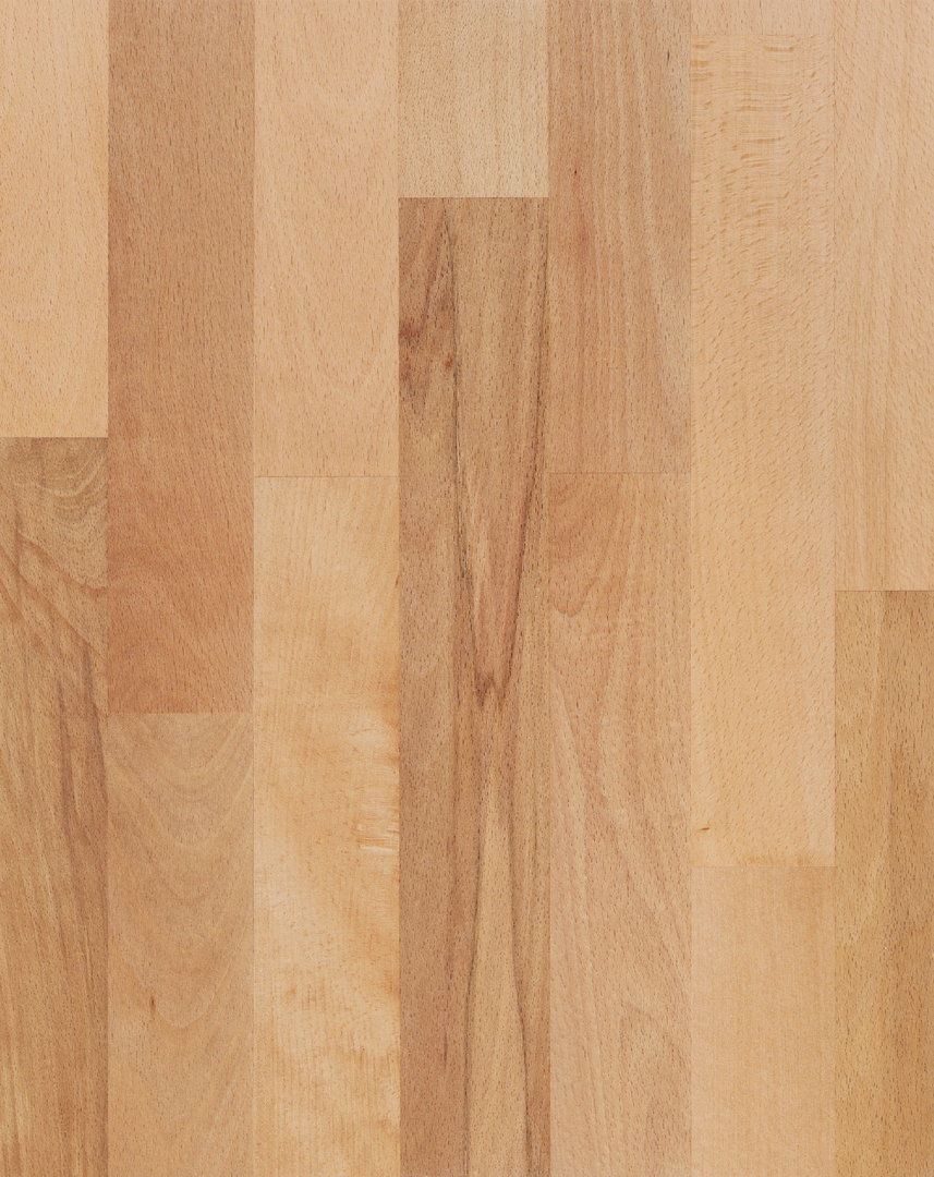 Parador Engineered Wood Flooring Basic 11 5 Rustic Beech 3 Plank Strip