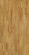 Parador Parquet Basic 11-5 Natur Oak Matt lacquer 3-strip