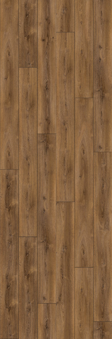 Suelo laminado de Parador Trendtime 6 Roble Calizo Lama 4V