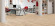 HARO Laminate TRITTY 100 Oak Italica Creme Campus 4V HARO Laminate TRITTY 100 Oak Italica Creme Campus 4V
