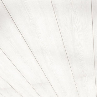 Parador mur & plafond lambris décoratifs Novara Pin blanc 1250x200