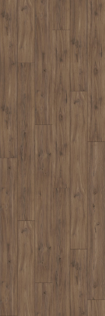 Parador Laminat Trendtime 6 Nussbaum Galant Natur Schlossdiele 4V