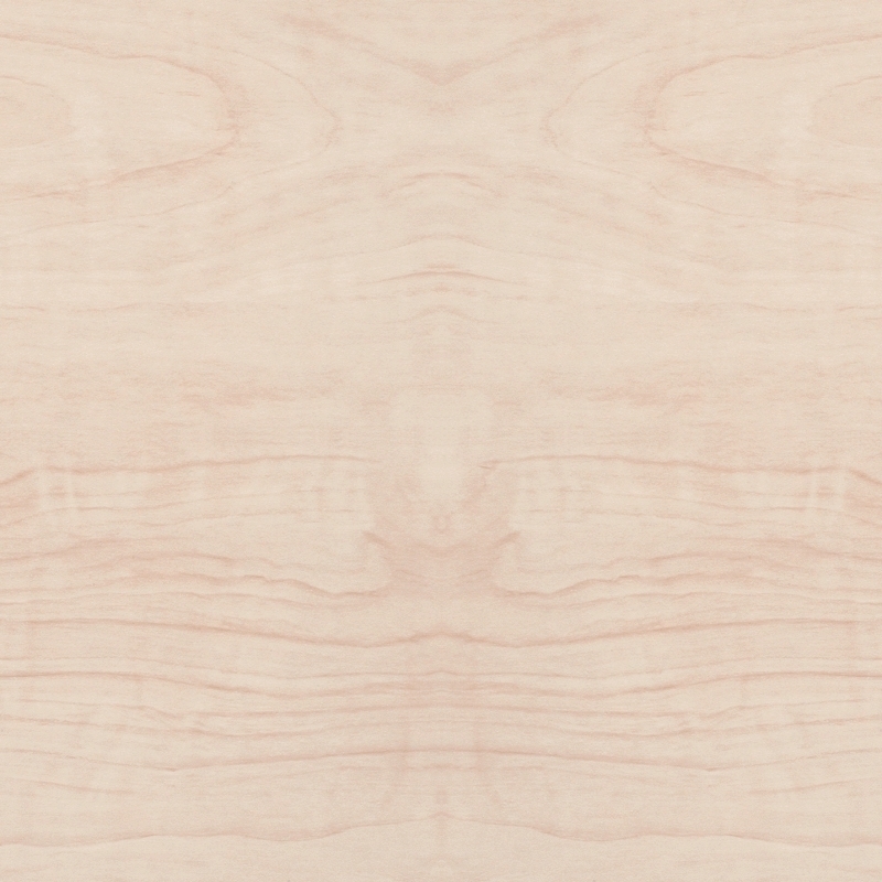 Plinthe de 6 cm Charme blanc FOBU031 240 cm