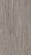 Parador Laminate Basic 200 Oak light-grey 1-strip 4V Parador Laminate Basic 200 Oak light-grey 1-strip 4V