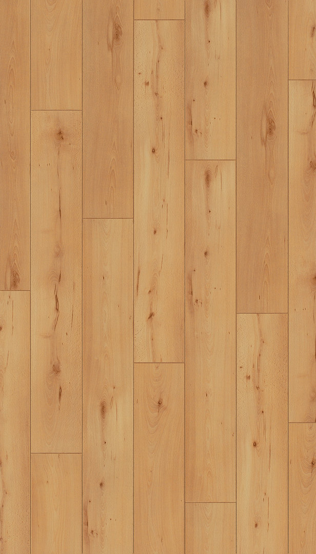 Parador Laminat Classic 1050 Buche Landhausdiele 4V