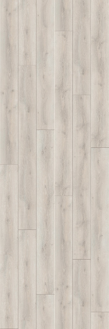 Suelo laminado de Parador Trendtime 6 Roble Askada Blanco Calizo Lama 4V