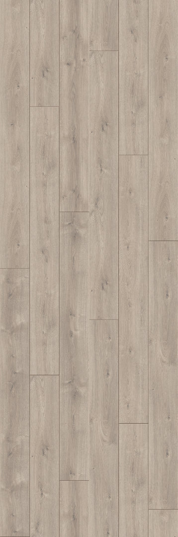 Parador Laminat Trendtime 6 Eiche Mistral Grau Schlossdiele 4V