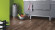 Laminate Wide Plus Macro Oak Brown D4791 1-strip 4V Width 244mm Laminate Wide Plus Macro Oak Brown D4791 1-strip 4V Width 244mm