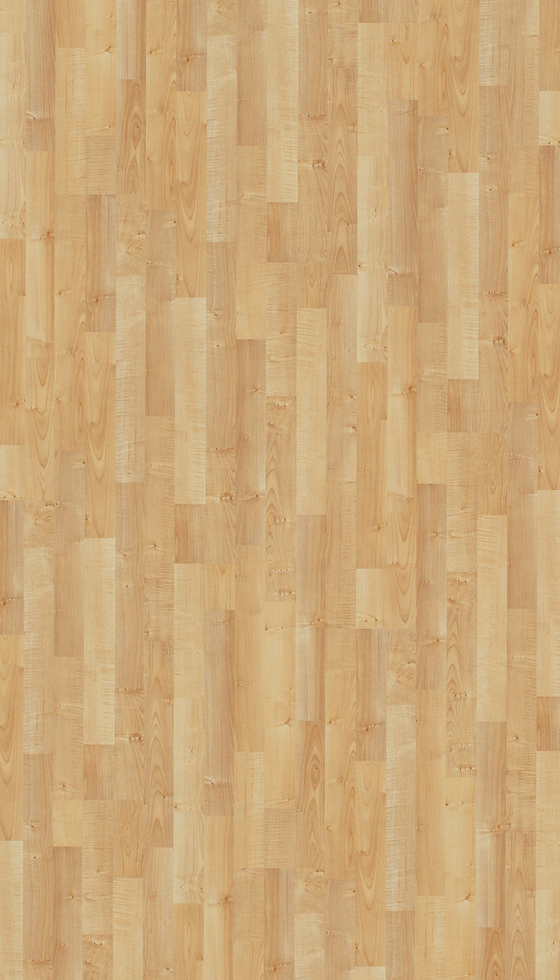 Suelo laminado de Parador Basic 200 Arce Natur bloque de 3 lamas