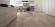 HARO Designboden DISANO Classic Steineiche creme Landhausdiele XL 4V strukturiert HARO Designboden DISANO Classic Steineiche creme Landhausdiele XL 4V strukturiert