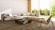 Meister Laminat MeisterDesign. laminate LD 55 Finca Wood 6856 1-Stab Kurzdiele M4V Meister Laminat MeisterDesign. laminate LD 55 Finca Wood 6856 1-Stab Kurzdiele M4V