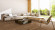 Meister Laminate MeisterDesign. laminate LL 150 Natural field oak 6844 1-strip 4V Meister Laminate MeisterDesign. laminate LL 150 Natural field oak 6844 1-strip 4V