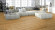 Meister Laminat MeisterDesign. laminate LL 250 S Bauerneiche natur 6832 1-Stab Landhausdiele M4V Meister Laminat MeisterDesign. laminate LL 250 S Bauerneiche natur 6832 1-Stab Landhausdiele M4V