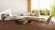 Meister Parquet MeisterParkett. longlife PD 400 American Walnut lively 8275 1-strip 2V Meister Parquet MeisterParkett. longlife PD 400 American Walnut lively 8275 1-strip 2V