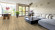 planeo Rigid Klick Vinyl - GRANDline Sunlit Oak | Trittschalldämmung integr. (NF-Gl-553) planeo Rigid Klick Vinyl - GRANDline Sunlit Oak | Trittschalldämmung integr. (NF-Gl-553)
