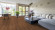 planeo Rigid Klick Vinyl - GRANDline Auburn Oak | Trittschalldämmung integr. (NF-GL-857) planeo Rigid Klick Vinyl - GRANDline Auburn Oak | Trittschalldämmung integr. (NF-GL-857)