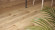 planeo Klick Vinyl - Rigid Eiche Naturbraun (P30260U) planeo Klick Vinyl - Rigid Eiche Naturbraun (P30260U)