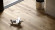 planeo Klick Vinyl - Rigid Eiche Naturbraun (P30260U) planeo Klick Vinyl - Rigid Eiche Naturbraun (P30260U)
