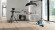 Parador Vinylboden Basic 5.3 Eiche Royal hell gekälkt 1-Stab Landhausdiele 4V Trittschalldämmung Raum7 Parador Vinylboden Basic 5.3 Eiche Royal hell gekälkt 1-Stab Landhausdiele 4V Trittschalldämmung Raum7