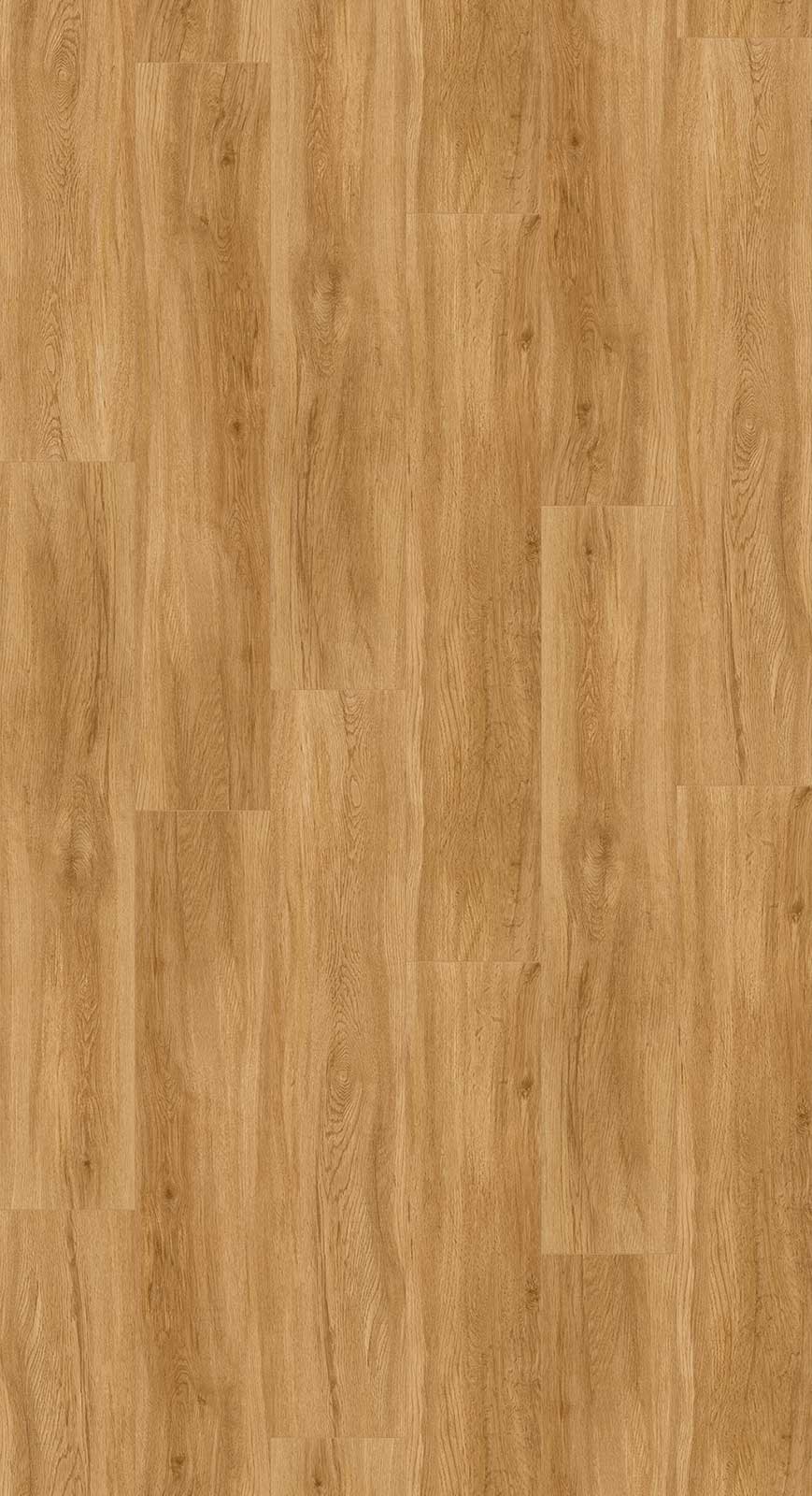 Parador Vinylboden Basic 5.3 Eiche Sierra natur 1-Stab Landhausdiele 4V Trittschalldämmung Raum2