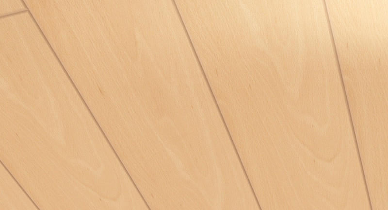 Parador paneles decorativos pared/techo Home haya 2570x149 main product photo