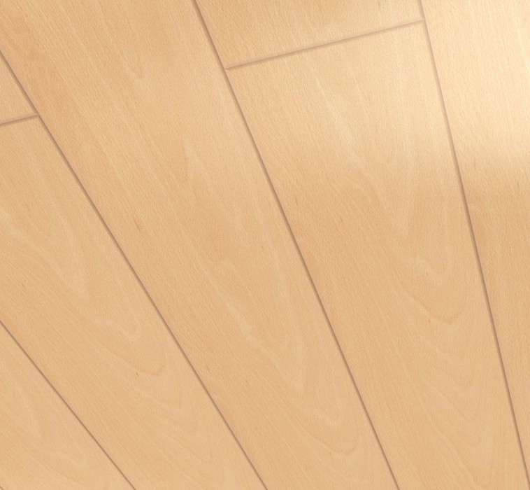 Parador paneles decorativos pared/techo Home haya 1250x149 main product photo