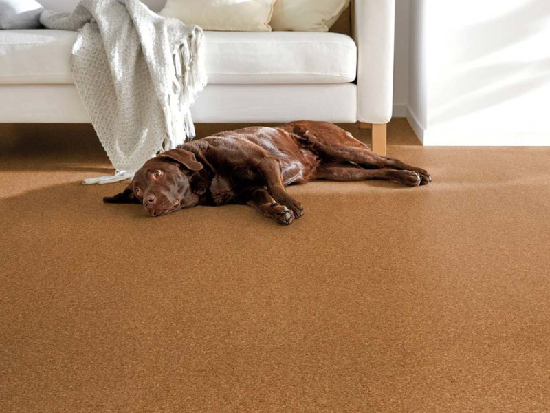 Wicanders Amorim Corcho suelo listo Corklife Studiostyle Beja Natural main product photo