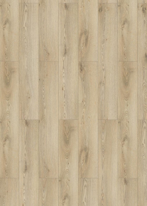 Classen Laminat 832-0 Eiche natur beige 1-Stab Landhausdiele main product photo