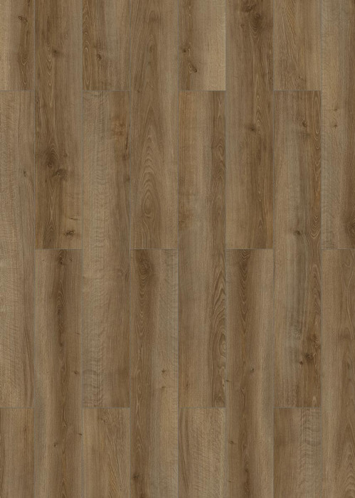 Classen Laminate 832-4 EIR Grey oak 1-strip 4V main product photo
