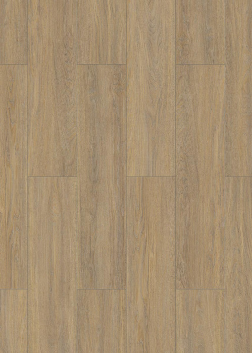 Classen Laminate 832-4 XL WR Cappuccino oak 1-strip 4V main product photo
