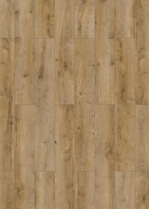 Classen Laminate 832-4 XL WR Light natural oak 1-strip 4V main product photo